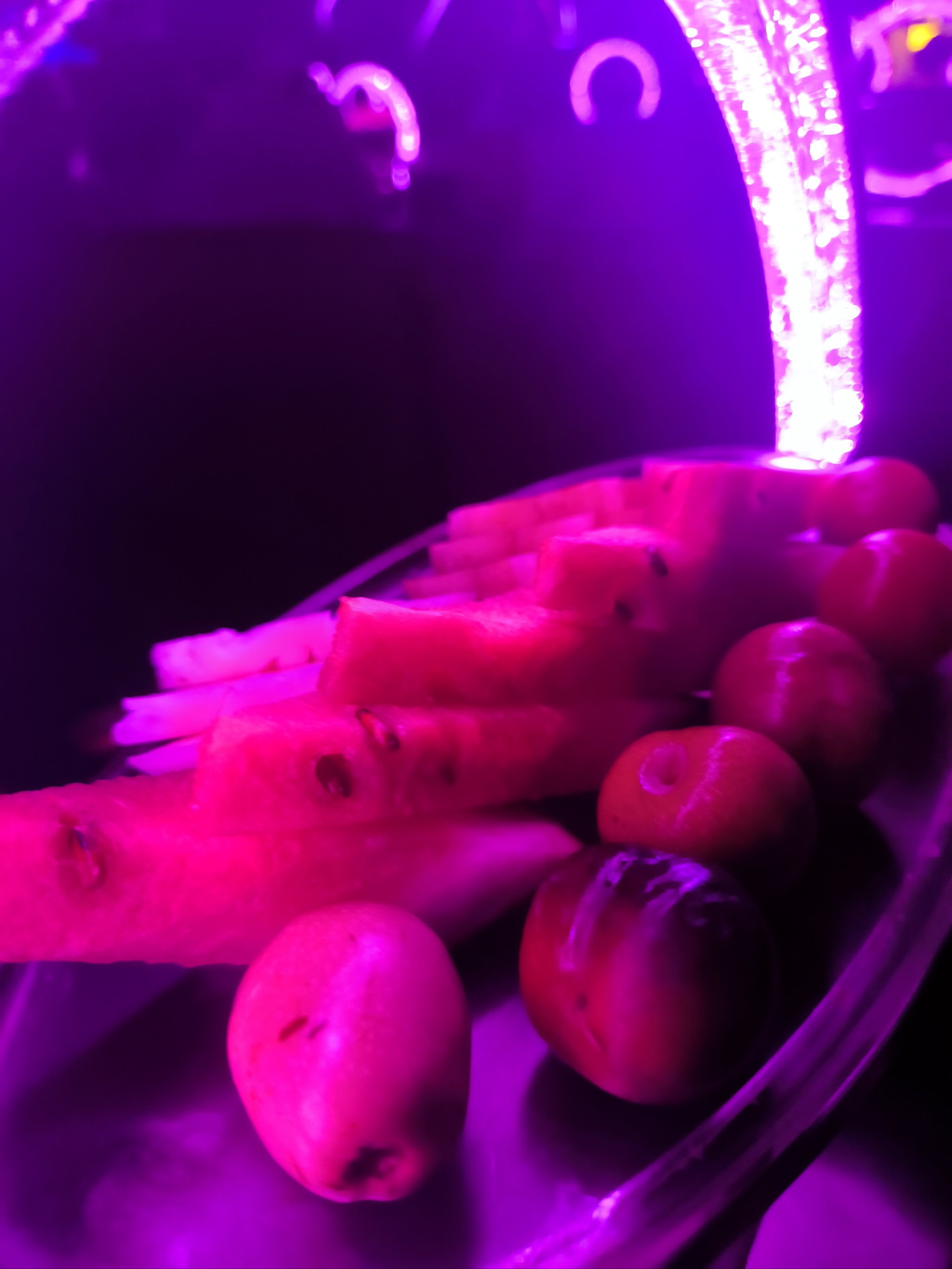 宜昌商务ktv是什么情况-点军区ktv预定